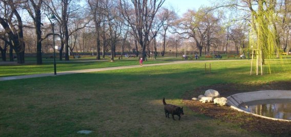 Z Karlína na Vítkov Výlet se psem 156