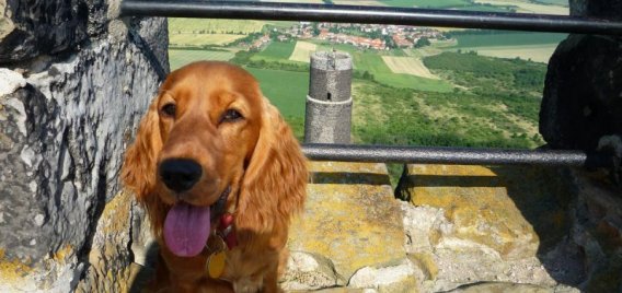 Hazmburk Výlet se psem 360